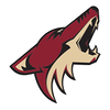 Arizona Coyotes