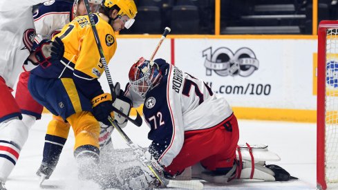 Sergei Bobrovsky