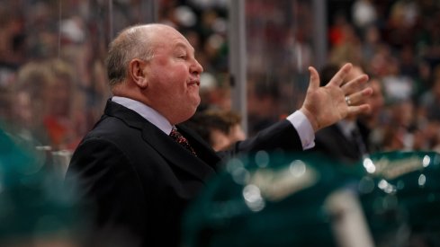 Minnesota Wild head coach Bruce Boudreau