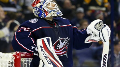 Sergei Bobrovsky