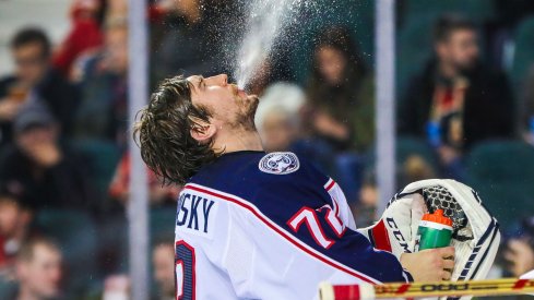 Sergei Bobrovsky