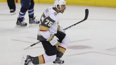 Vegas Golden Knights forward Ryan Reaves celebrates a goal in the Western Conference Final.