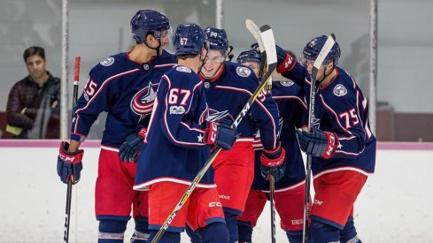 Blue Jackets celebrate a goal in Traverse City prospect tournament 