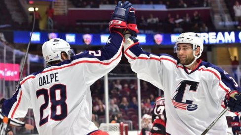 Zac Dalpe celebrates scoring a goal 