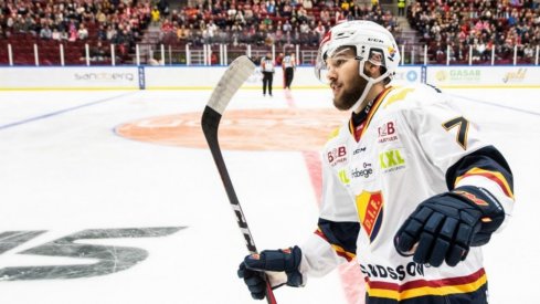 Columbus Blue Jackets prospect forward Emil Bemstrom celebrates a goal for Djurgarden in the Swedish Hockey League.