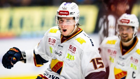 Jakob Lilja celebrates a goal in the SHL