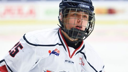 Eric Hjorth skates up the ice for his team Linkoping