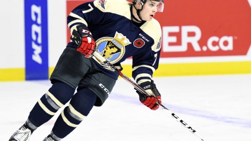 Tyler Angle skates up the ice for the Windsor Spitfires.