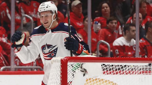 Columbus Blue Jackets left wing Jakob Lilja (15) celebrates after scoring a goal against the Washington Capitals in the second period at Capital One Arena.