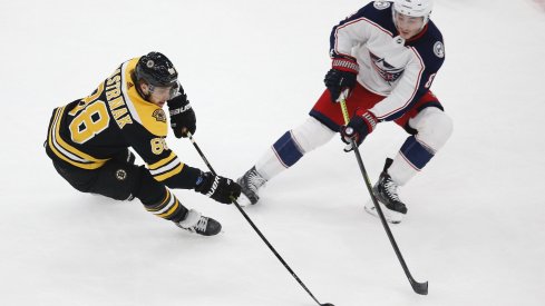 Boston Bruins right wing David Pastrnak (88) keeps the puck away from Columbus Blue Jackets defenseman Zach Werenski (8) during the first period at TD Garden.