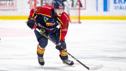 Top prospect William Eklund skates up ice