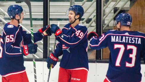 Blue Jackets prospects celebrate a goal.