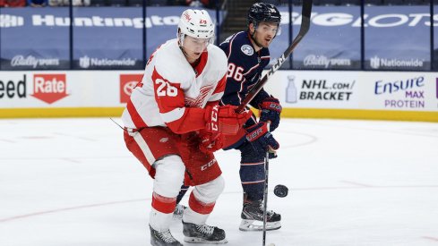 Detroit Red Wings defenseman Gustav Lindstrom (28) skates for the loose puck against Columbus Blue Jackets center Jack Roslovic (96) in the third period at Nationwide Arena