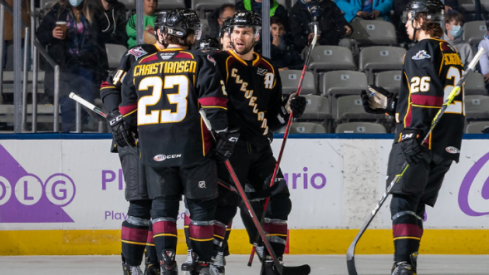 With points in 12 of their first 15 games, the Cleveland Monsters are off to a great start.