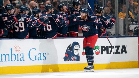 Columbus Blue Jackets right wing Jakub Voracek celebrates after a goal against the St. Louis Blues during the third period at Nationwide Arena.