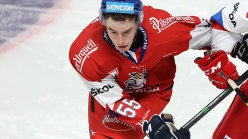 David Jirisek skates for Czechia.