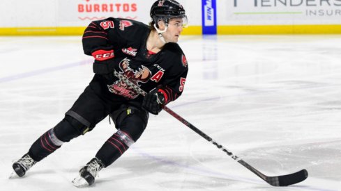 Denton Mateychuk skates for the Moose Jaw Warriors