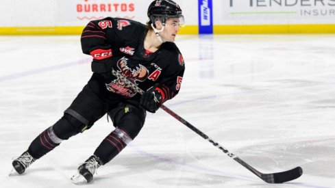 Denton Mateychuk