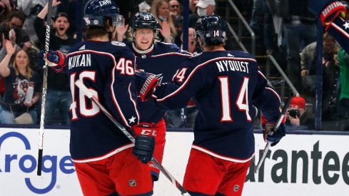 Columbus Blue Jackets center Gustav Nyquist celebrates a goal against the Boston Bruins during the first period at Nationwide Arena.