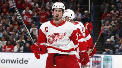 Two weeks ago, the Detroit Red Wings came into Nationwide Arena and left with a 6-1 victory over the Blue Jackets. The two teams tango again Sunday as Columbus aims for a different result.