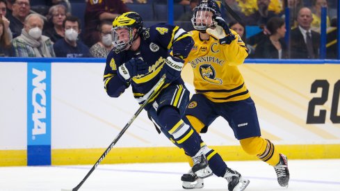 Michigan' Gavin Brindley and Quinnipiac' Zach Metsa battle for the puck during the first period in the semifinals of the 2023 Frozen Four college ice hockey tournament at Amalie Arena.