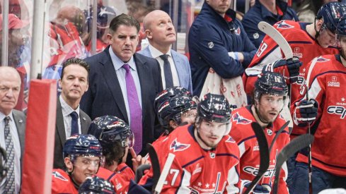 Former Washington Capitals head coach Peter Laviolette looks onto the ice