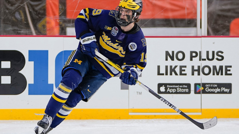 Michigan Wolverines forward Adam Fantilli skates against Ohio State 