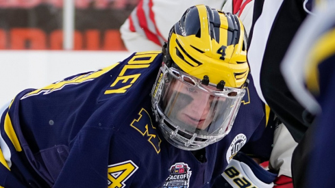 Michigan Wolverines forward Gavin Brindley (4) fights for the puck in front of forward Adam Fantilli (19) during the Faceoff on the Lake outdoor NCAA men s hockey game against the Ohio State Buckeyes at FirstEnergy Stadium.