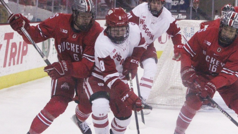 Wisconsin's William Whitelaw (8) steals the puck against Ohio State during the teams' Big Ten quarterfinal at the Kohl Center in Madison, Wisconsin on March 10, 2024.