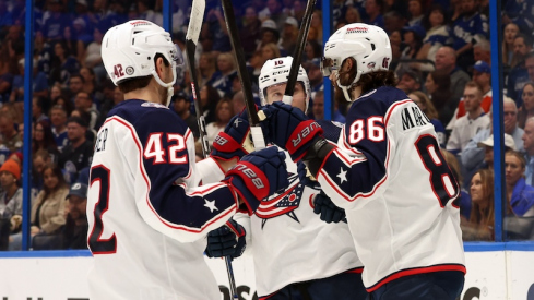 Columbus Blue Jackets' Kirill Marchenko is congratulated after he scored a goal against the Tampa Bay Lightning during the second period at Amalie Arena.