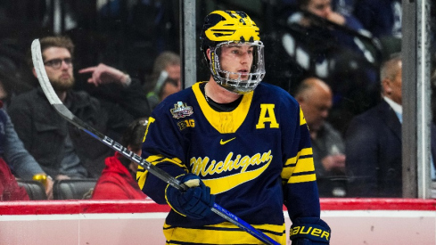 Michigan Wolverines forward Gavin Brindley (4) looks on in the semifinals of the 2024 Frozen Four college ice hockey tournament against the Boston College Eagles at Xcel Energy Center.