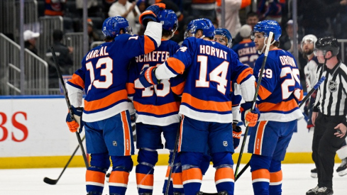 Nov 2, 2025; Elmont, New York, USA; New York Islanders center Mathew Barzal (13) and New York Islanders center Bo Horvat (14) celebrate the goal by New York Islanders defenseman Matthew Schaefer (48) during the first period at UBS Arena.