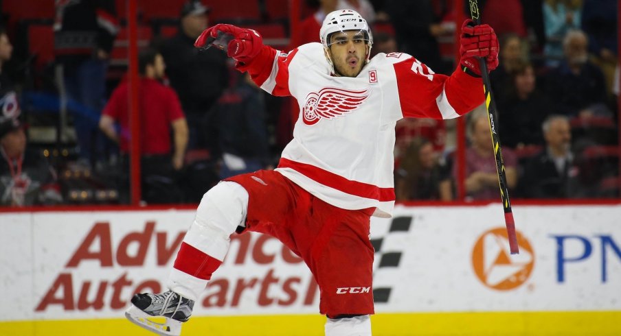 Red wings athanasiou shop jersey