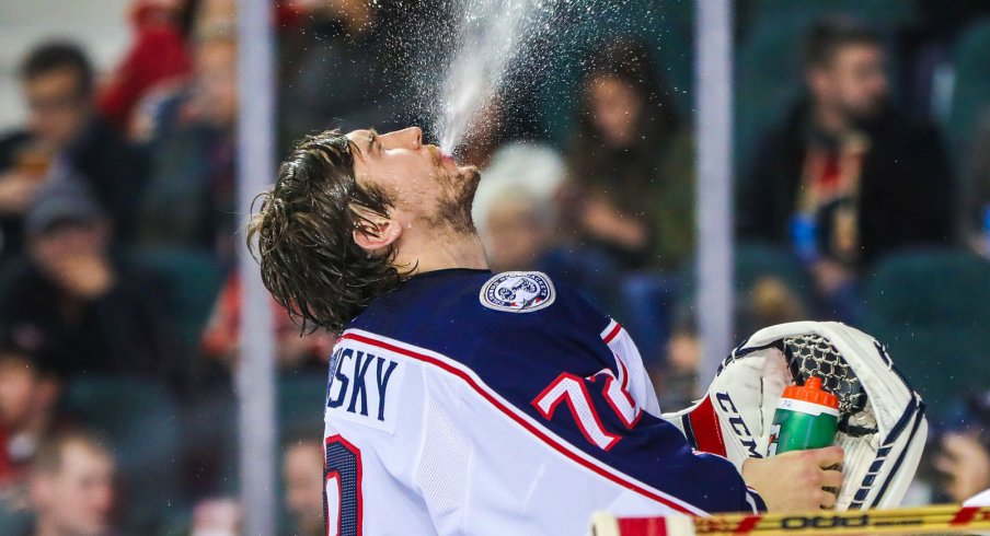 Sergei Bobrovsky