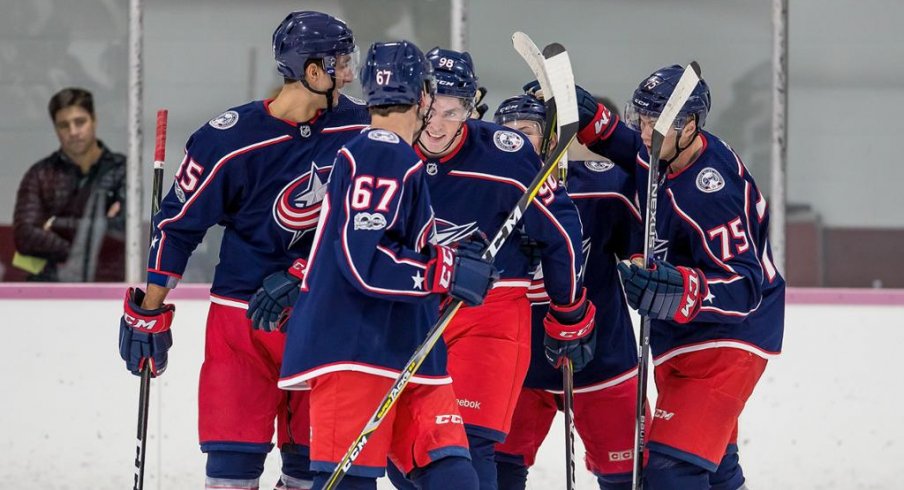 Blue Jackets celebrate a goal in Traverse City prospect tournament 