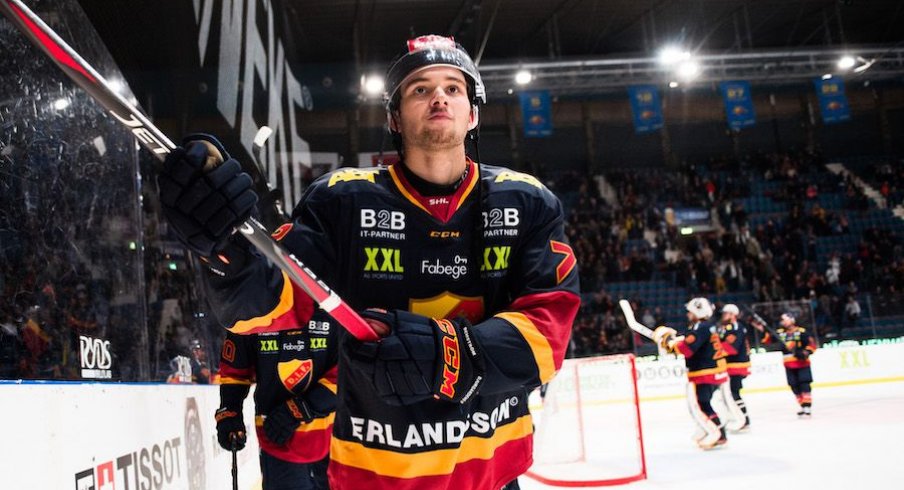 Blue Jackets prospect Emil Bemstrom celebrates a goal in the SHL