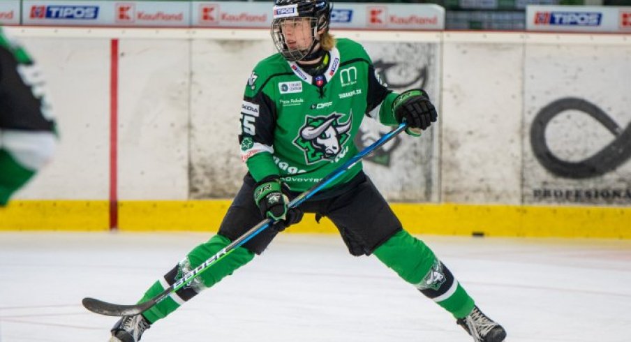 Brandt Clarke waits for the puck to drop as he skates in the Slovakian league.