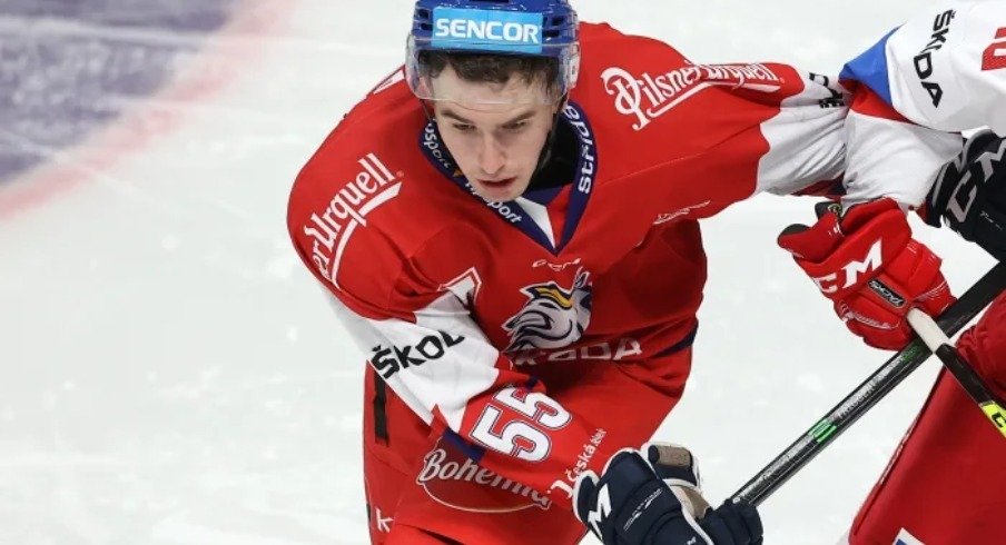 David Jirisek skates for Czechia.