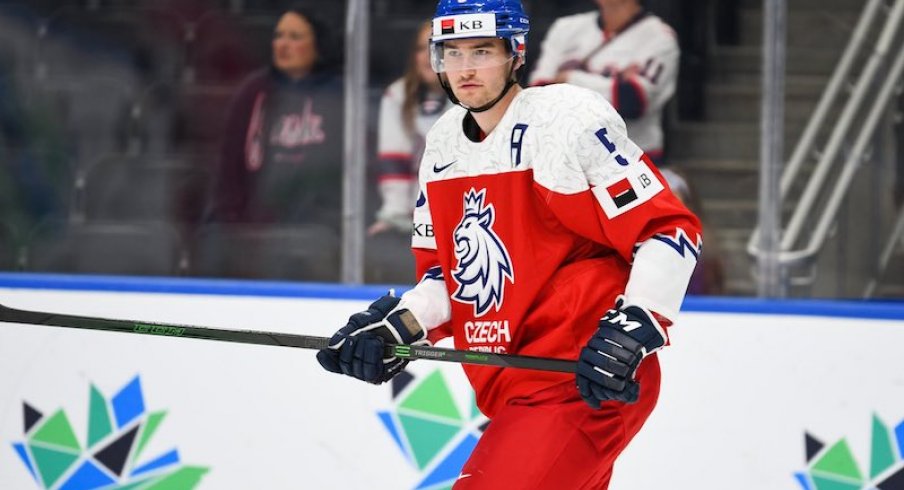 Defenseman David Jiricek in the World Juniors for Czechia.